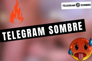 Lire la suite à propos de l’article Lien Telegram Sombre 