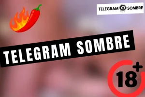 Lire la suite à propos de l’article Telegram Canal Sombre 